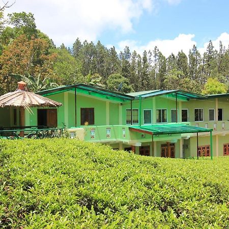 Narra Homestay Maskeliya Экстерьер фото