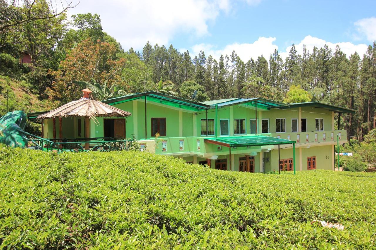 Narra Homestay Maskeliya Экстерьер фото